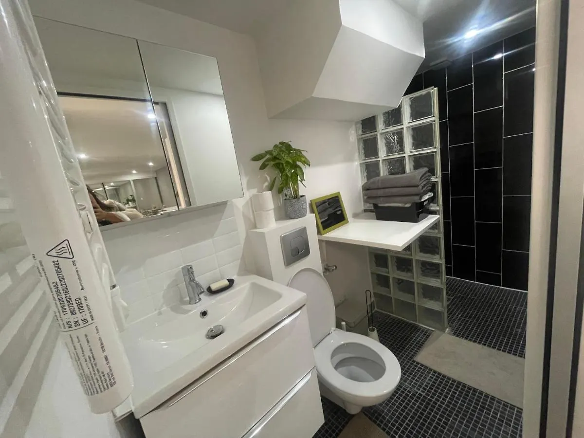 Grand Appartement Au Rez De Chaussee En Plein Coeur De Párizs